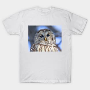 Barred Owl T-Shirt